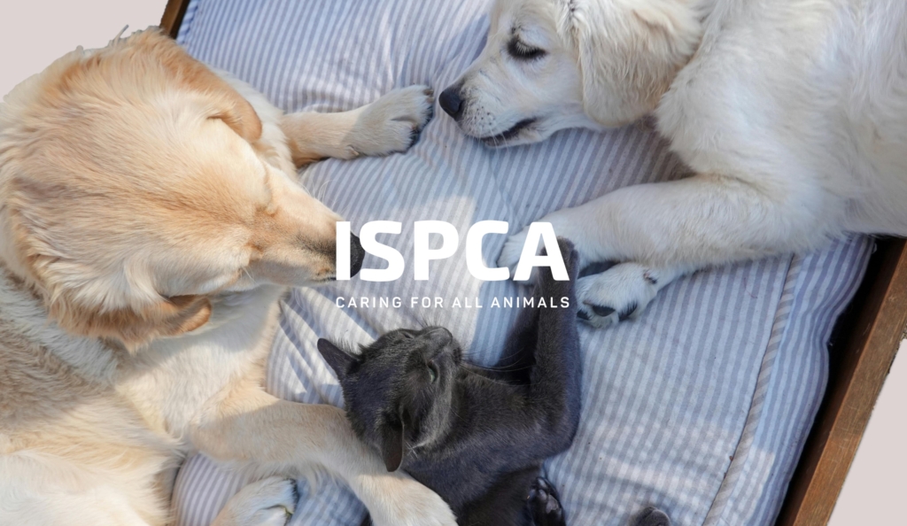 ispca-copy-2