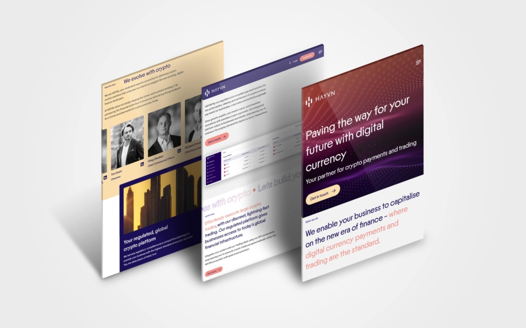 Hayvn new website webbiz