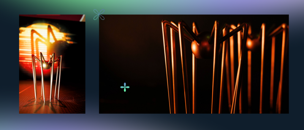 Spider awards for Agency of the year 2025